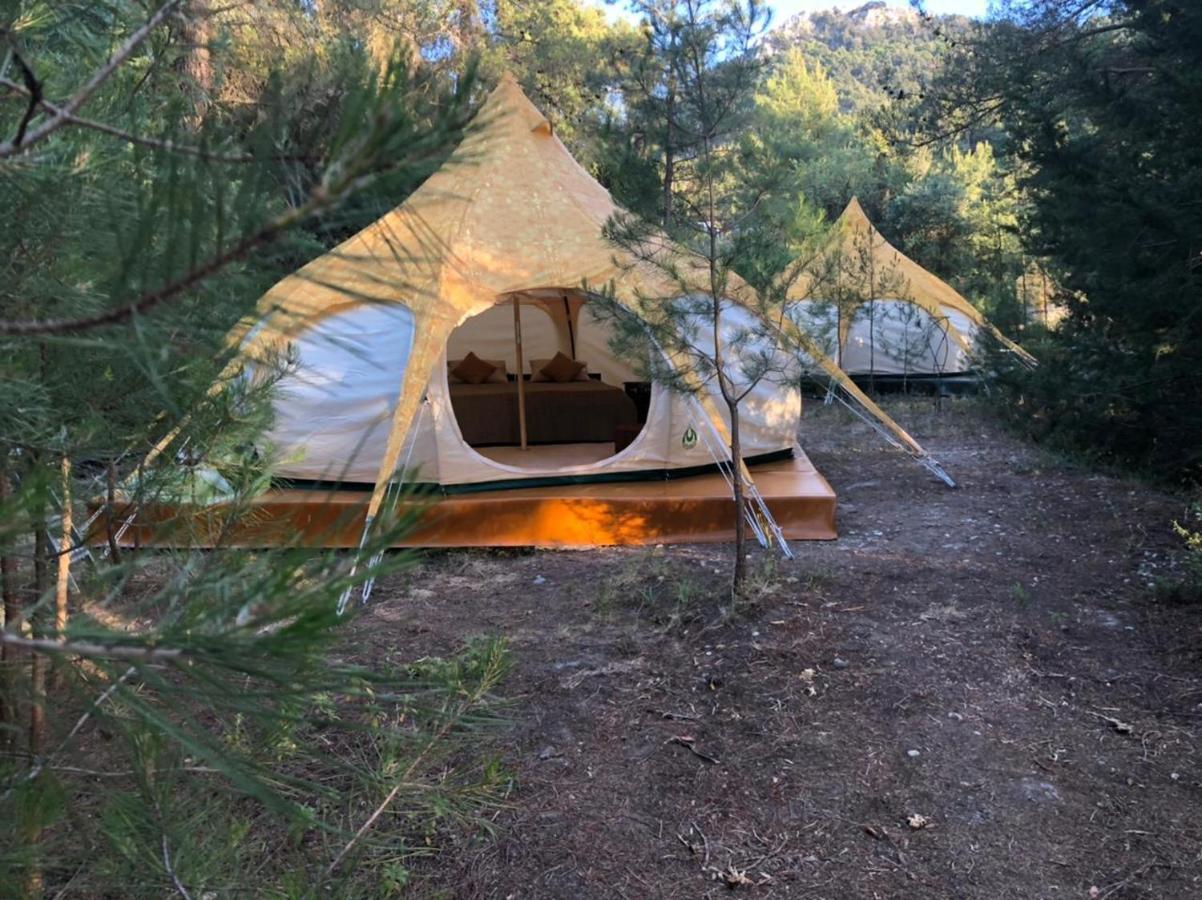 Vinsan Glamping & Wellness Centre * Eleousa