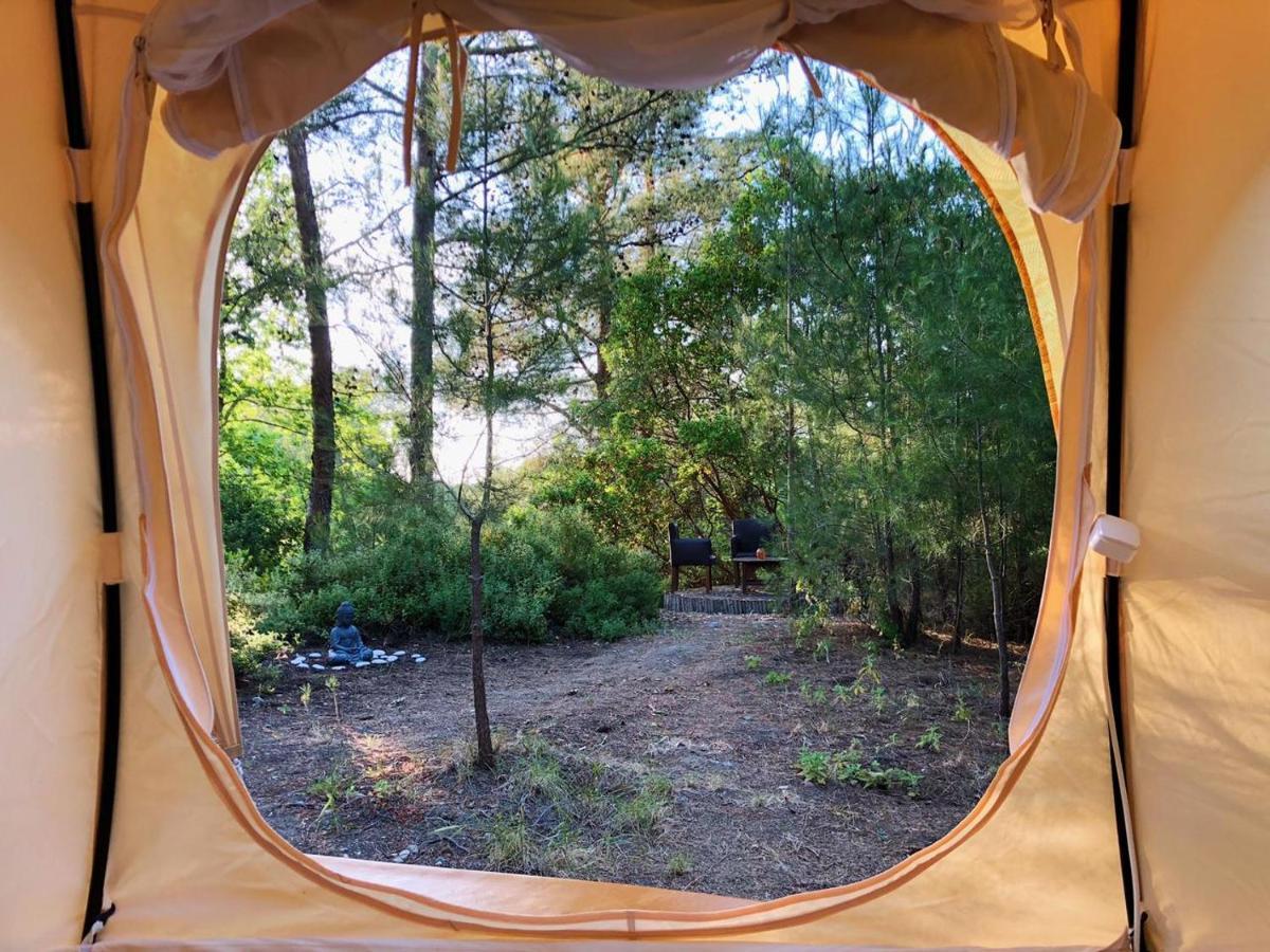 Vinsan Glamping & Wellness Centre