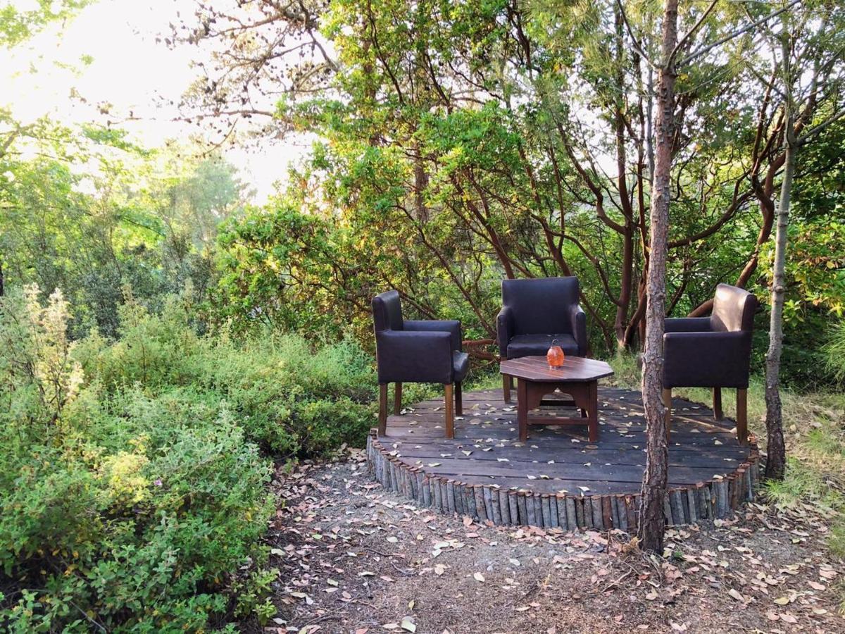 Vinsan Wellness Centre Eleousa