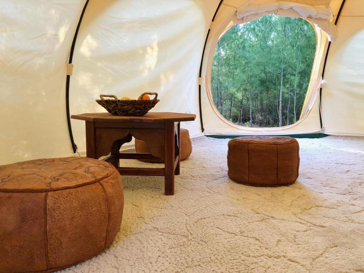 Vinsan Glamping & Wellness Centre Роскошный шатер
