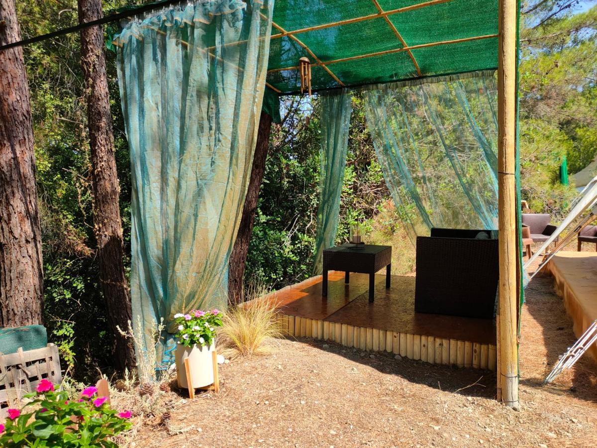 Vinsan Glamping & Wellness Centre Eleousa