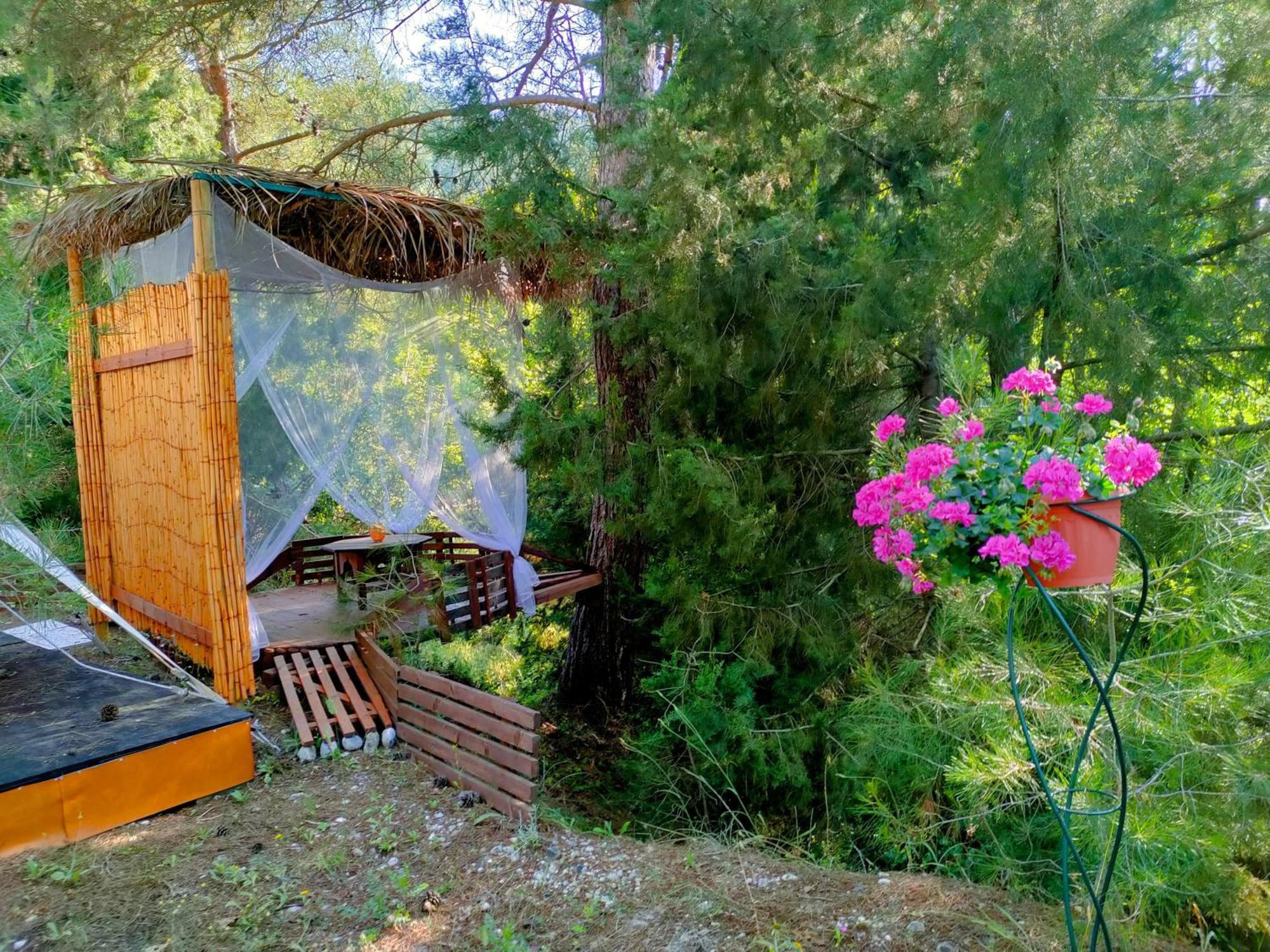 Vinsan Glamping & Wellness Centre *