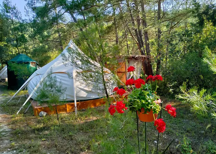 Vinsan Glamping & Wellness Centre