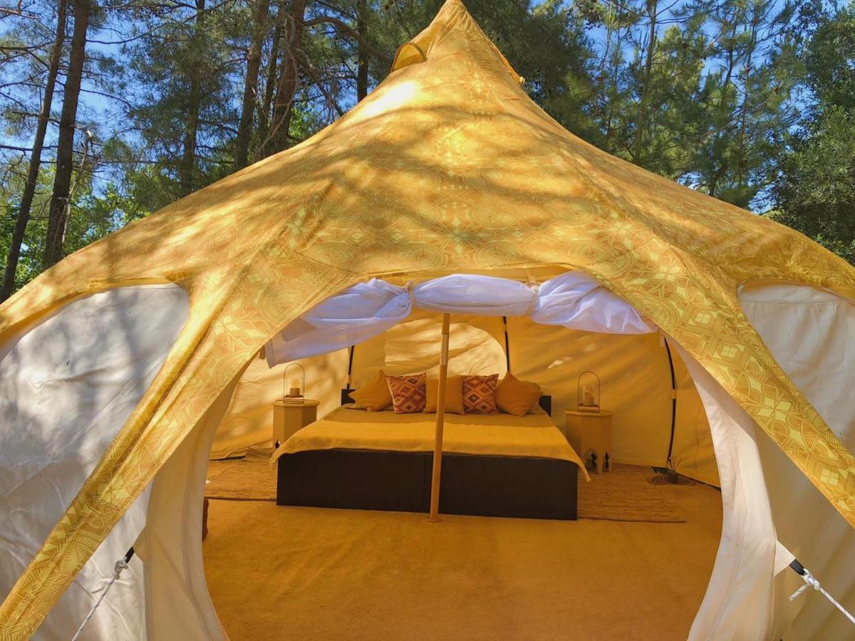 Vinsan Glamping & Wellness Centre Cort de lux